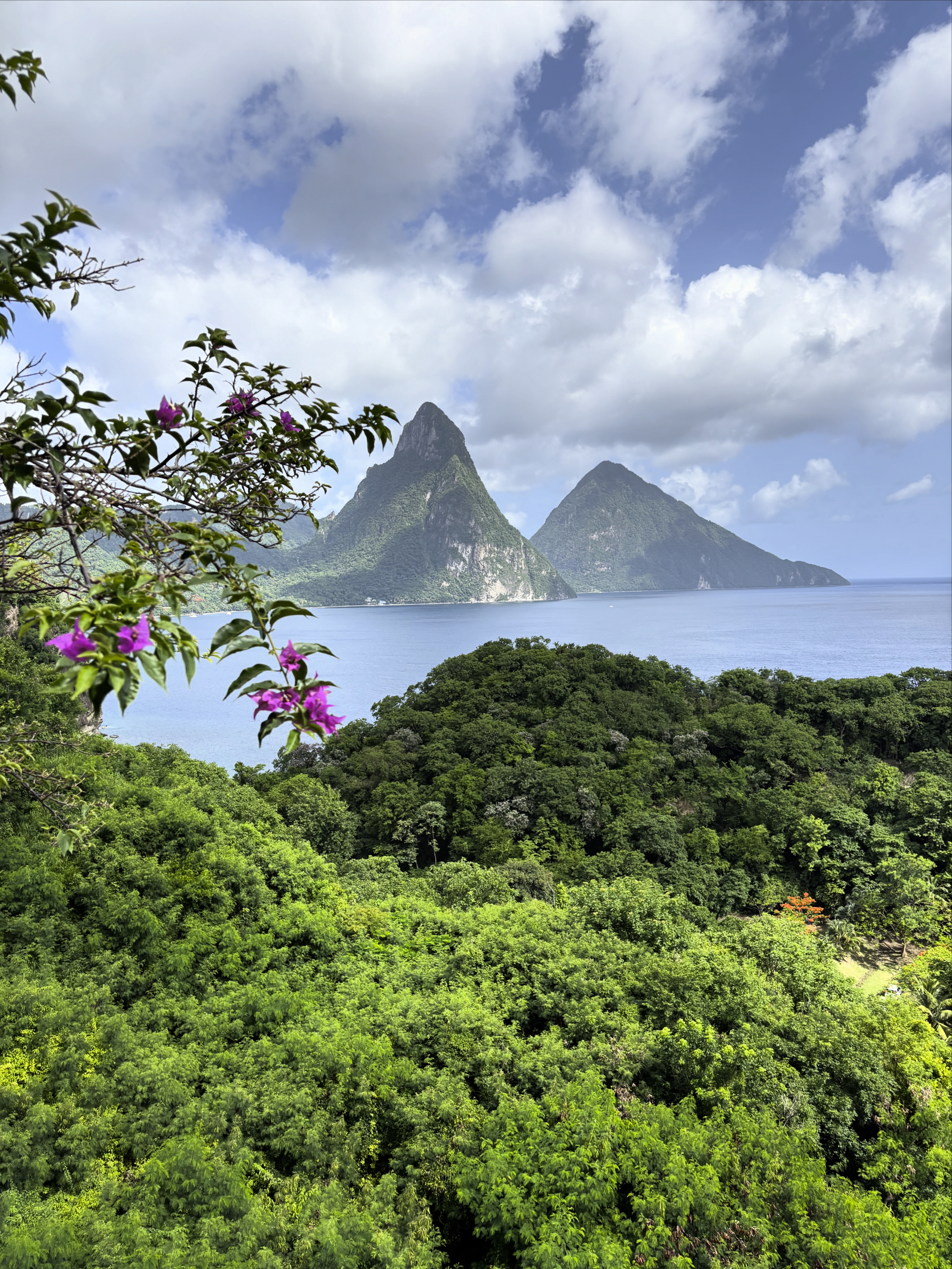 Saint Lucia Pitons Pink Palm Travel